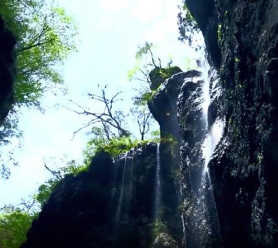 青山綠水，白龍江畔江畔息白鷺，兩岸綠橄欖入眼的都是純樸自然枝上花開(kāi)，春來(lái)水暖魚(yú)蝦戲水，鳥(niǎo)語(yǔ)花香心中充滿(mǎn)著舒暢之感祥宇生態(tài)產(chǎn)業(yè)園，位于隴南市武..